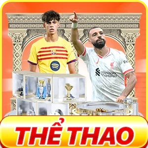 the thao icon